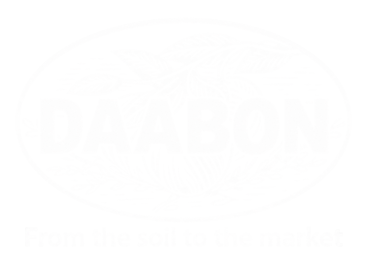 Daabon