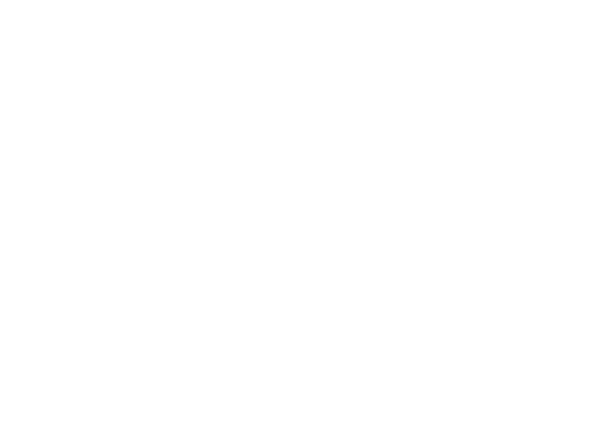 Gruas VIP